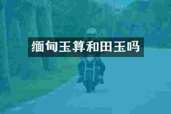 缅甸玉算和田玉吗
