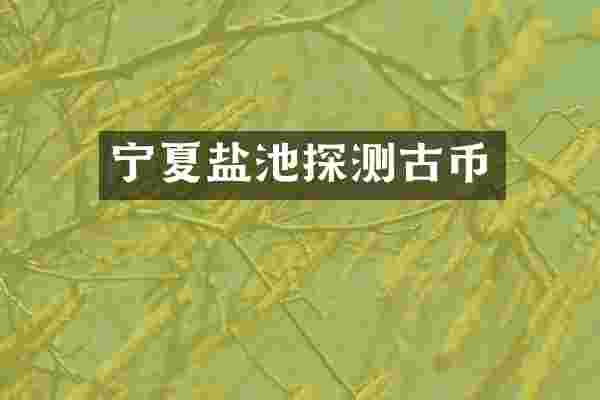 宁夏盐池探测古币