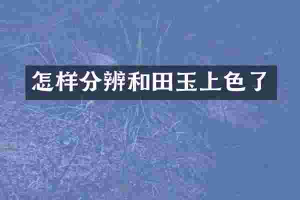 怎样分辨和田玉上色了