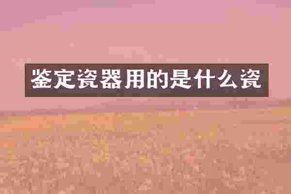 鉴定瓷器用的是什么瓷