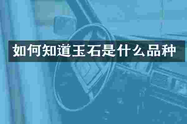 如何知道玉石是什么品种