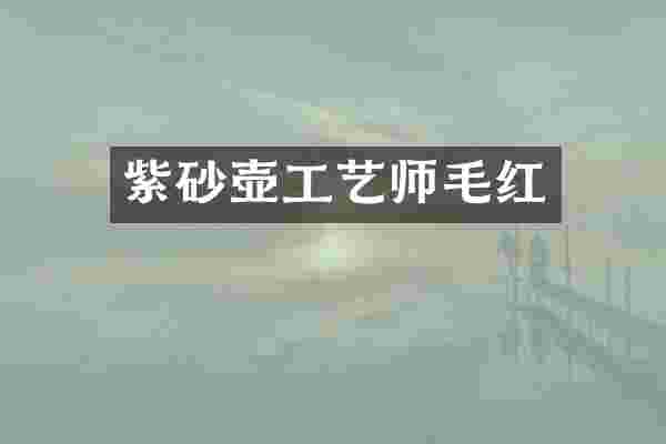 紫砂壶工艺师毛红