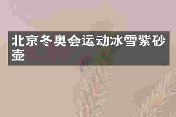 北京冬奥会运动冰雪紫砂壶
