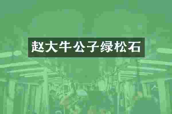 赵大牛公子绿松石