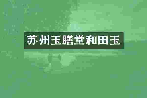 苏州玉膳堂和田玉