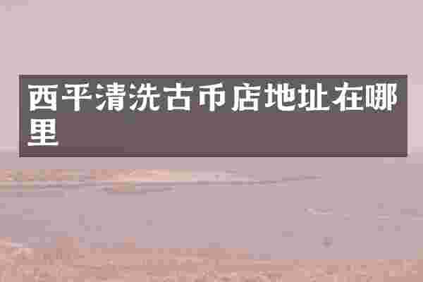 西平清洗古币店地址在哪里