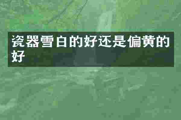 瓷器雪白的好还是偏黄的好