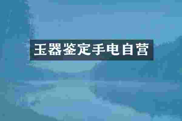 玉器鉴定手电自营