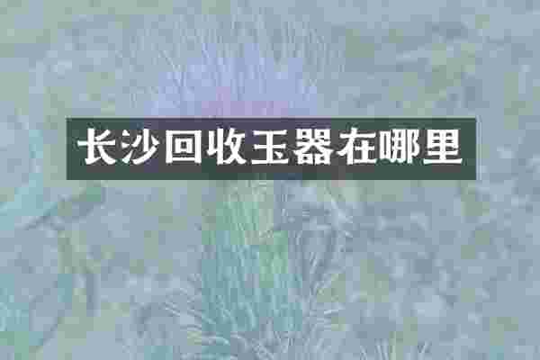 长沙回收玉器在哪里