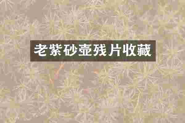 老紫砂壶残片收藏
