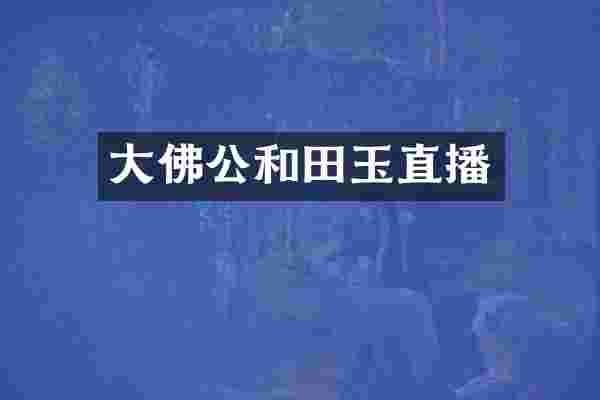 大佛公和田玉直播