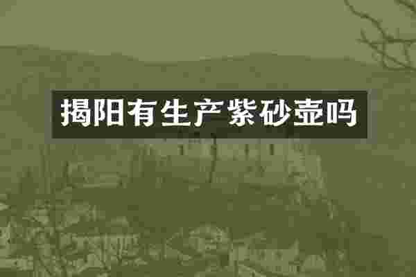 揭阳有生产紫砂壶吗