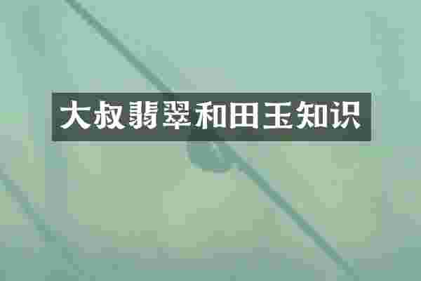 大叔翡翠和田玉知识