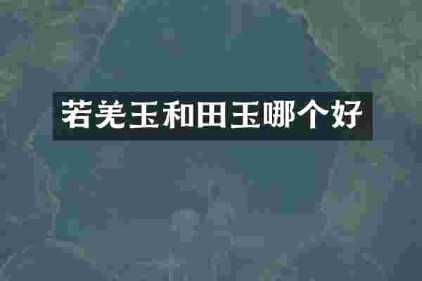 若羌玉和田玉哪个好