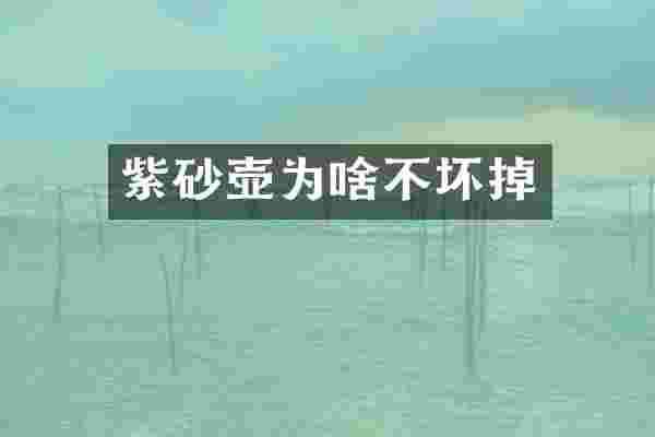 紫砂壶为啥不坏掉