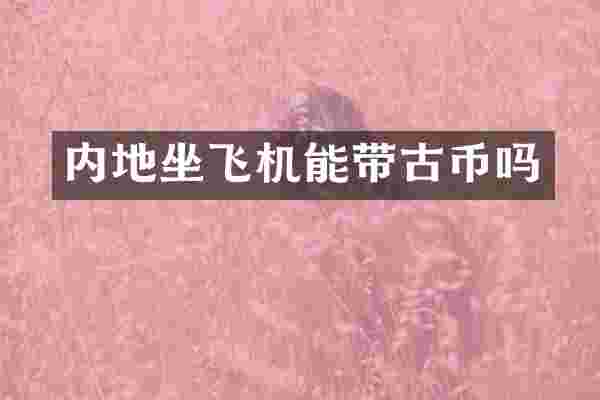 内地坐飞机能带古币吗
