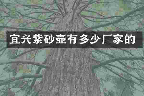 宜兴紫砂壶有多少厂家的