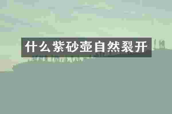 什么紫砂壶自然裂开