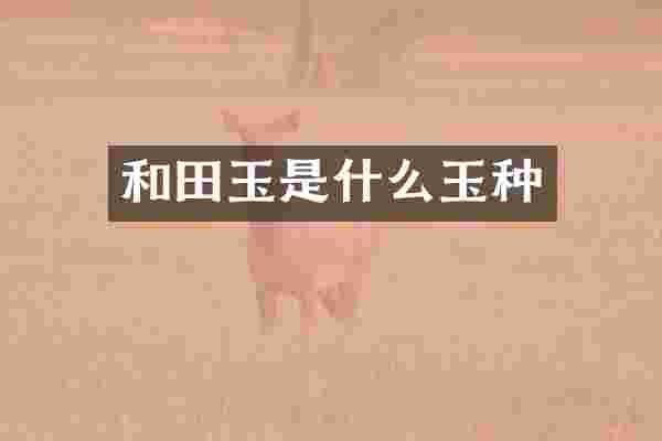 和田玉是什么玉种