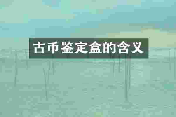 古币鉴定盒的含义