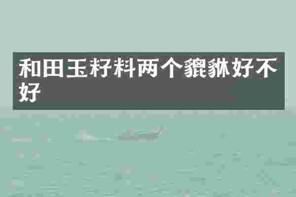 和田玉籽料两个貔貅好不好