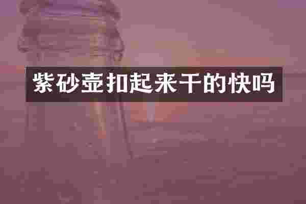 紫砂壶扣起来干的快吗