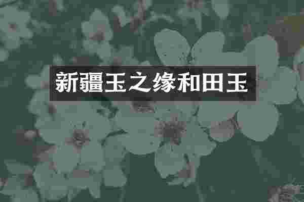 新疆玉之缘和田玉