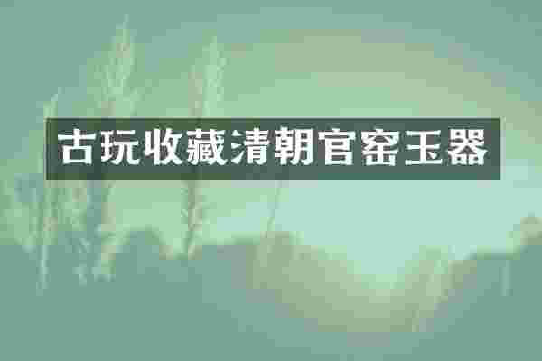 古玩收藏清朝官窑玉器