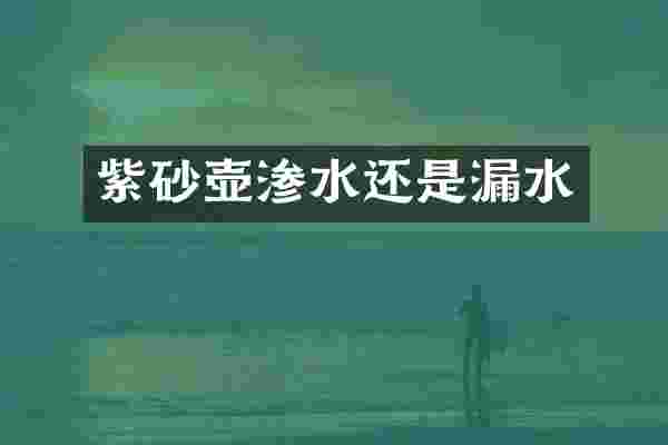 紫砂壶渗水还是漏水