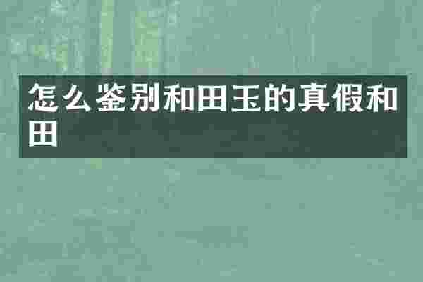 怎么鉴别和田玉的真假和田