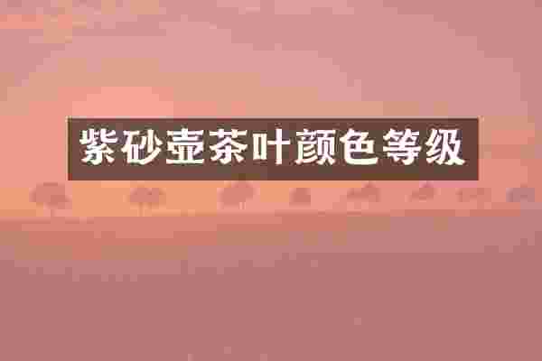 紫砂壶茶叶颜色等级
