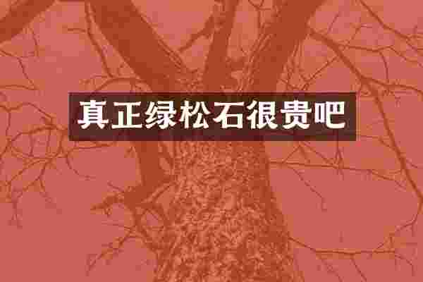 真正绿松石很贵吧