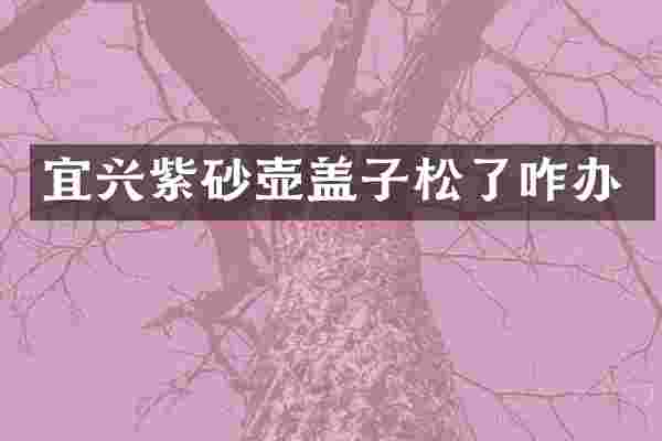 宜兴紫砂壶盖子松了咋办