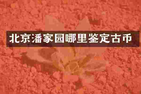北京潘家园哪里鉴定古币