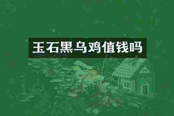 玉石黑乌鸡值钱吗