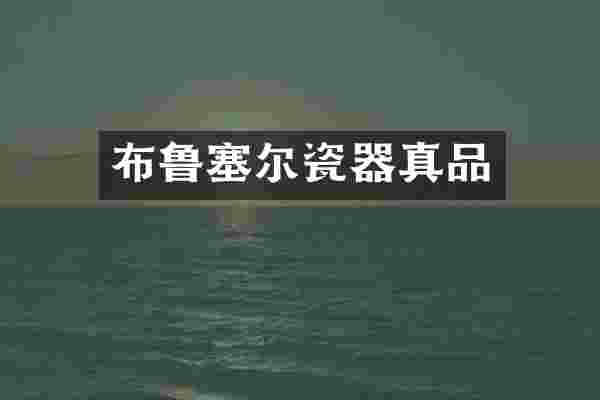 布鲁塞尔瓷器真品