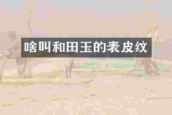 啥叫和田玉的表皮纹
