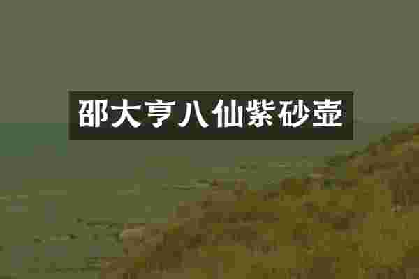 邵大亨八仙紫砂壶