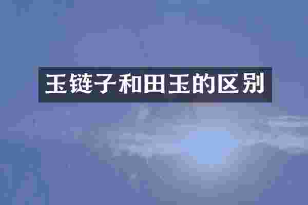 玉链子和田玉的区别