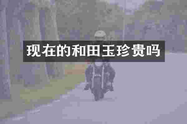 现在的和田玉珍贵吗