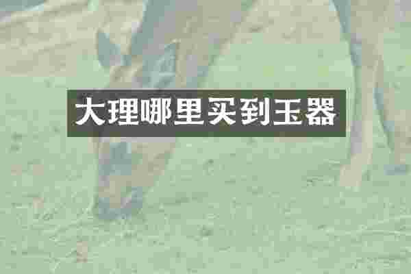 大理哪里买到玉器