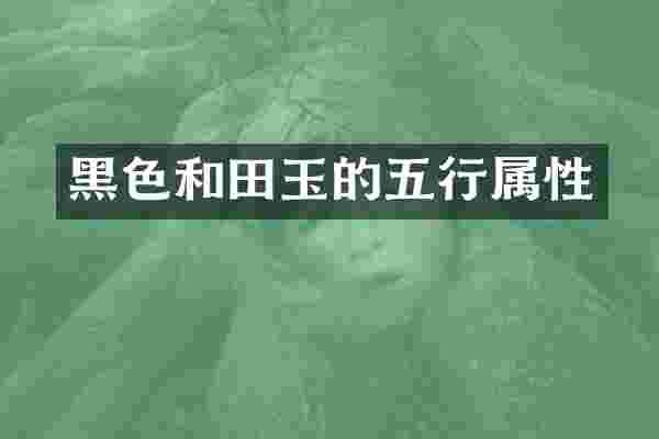 黑色和田玉的五行属性