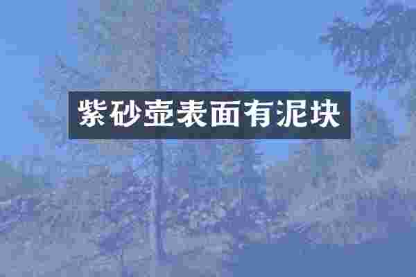 紫砂壶表面有泥块