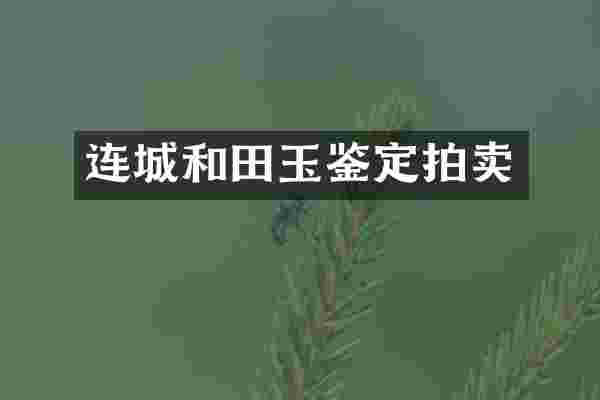 连城和田玉鉴定拍卖