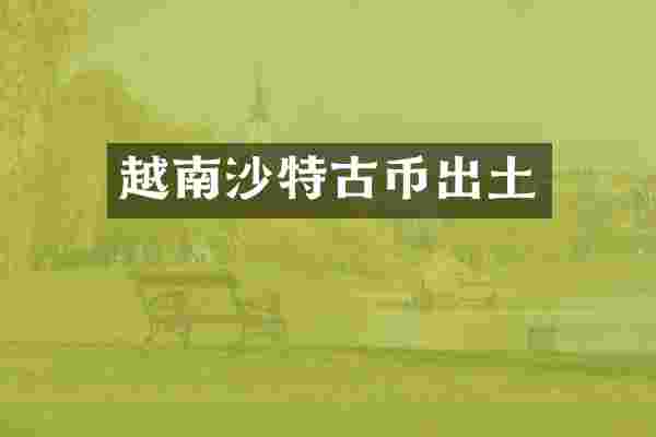 越南沙特古币出土