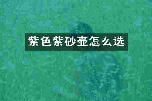 紫色紫砂壶怎么选
