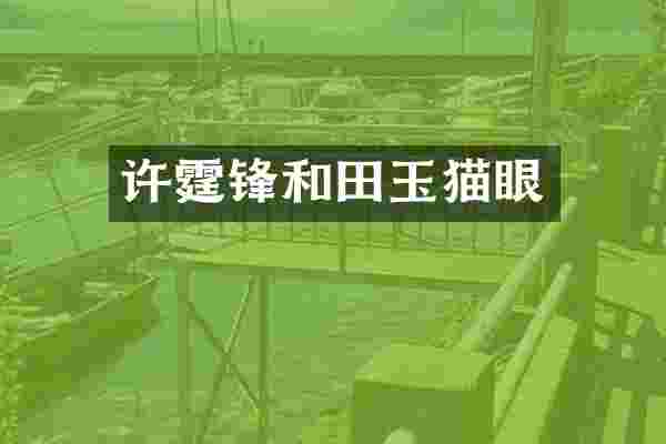 许霆锋和田玉猫眼