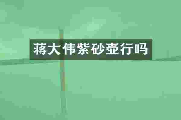 蒋大伟紫砂壶行吗