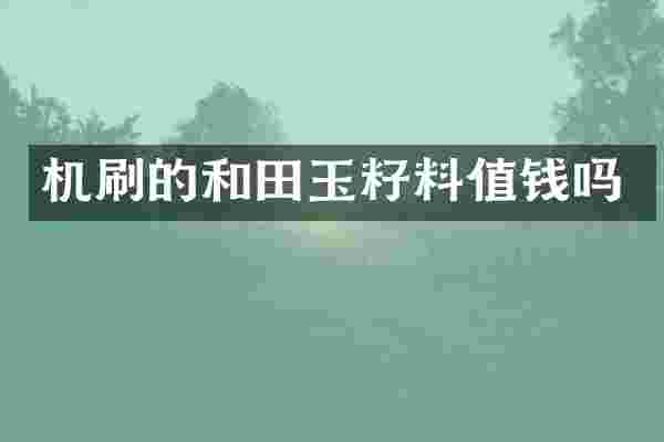 机刷的和田玉籽料值钱吗