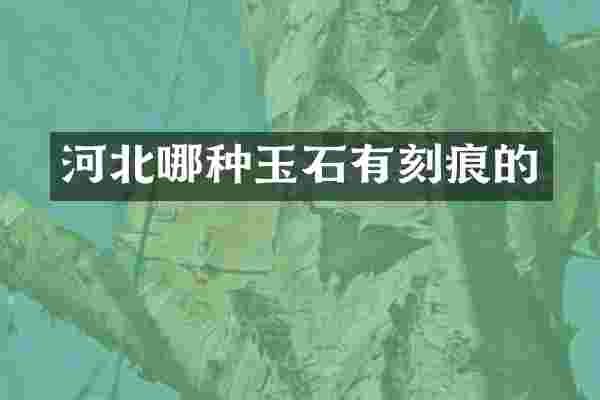 河北哪种玉石有刻痕的
